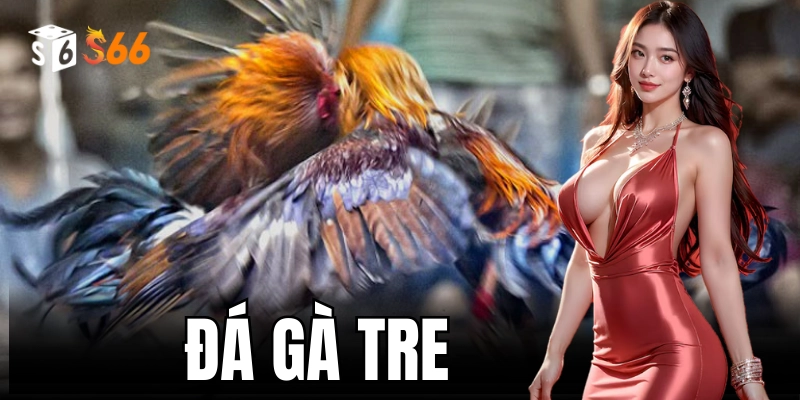 Đá Gà Tre – Luật Chơi Và Kinh Nghiệm Thắng Lớn Từ S666