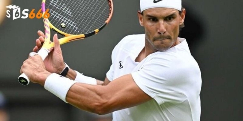 Giới thiệu cá cược tennis siêu hot