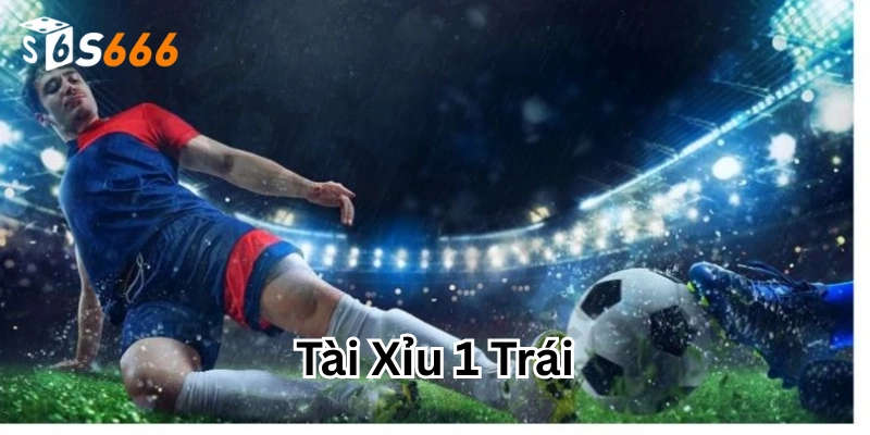 Tài Xỉu 1 trái là gì?