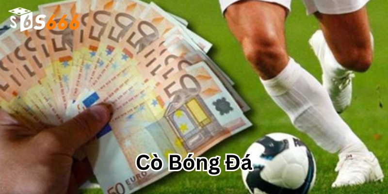 Vai trò của Cò Bóng Đá