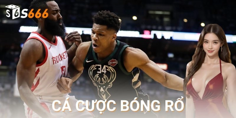 Cách chơi hiệu quả cho người mới và người chơi lâu năm