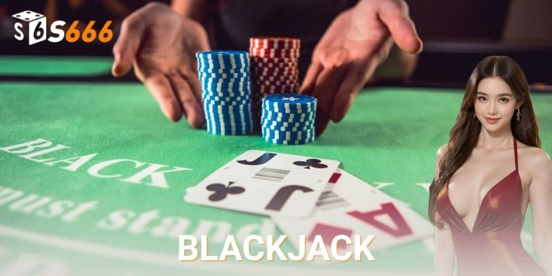 Kinh nghiệm cho người mới và cách tối ưu hiệu quả