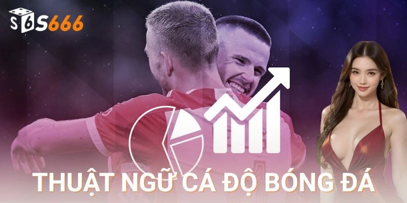 Trải nghiệm thực tế và chiến thuật ứng dụng hiệu quả trên nền tảng