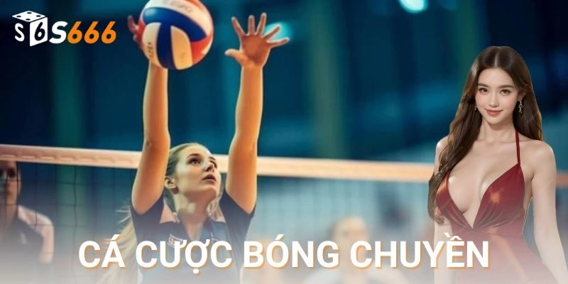 Trò chơi mang tính chiến thuật cao và dễ đọc kèo