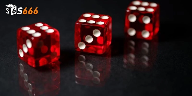 Bí quyết chơi xí ngầu nổ thắng lớn